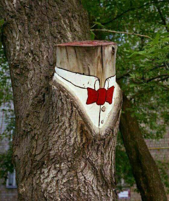 اعتراض خلاقانه یک هنرمند به قطع درختان